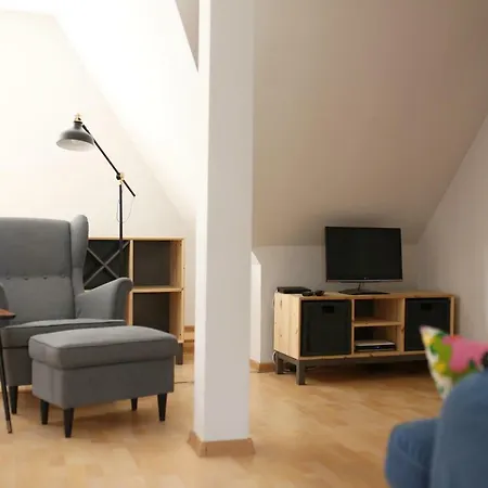 Апартаменты Apartament Pod Katedra *